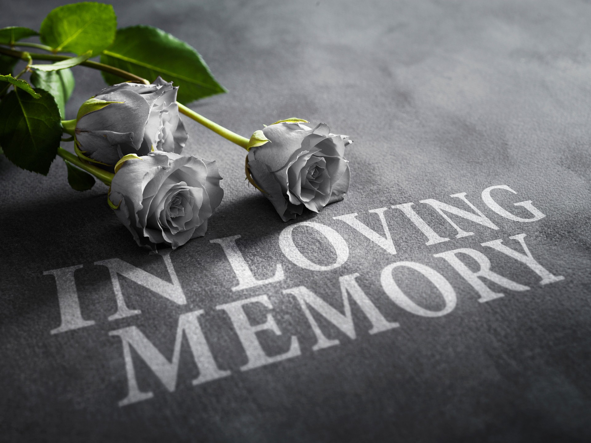 Beautiful white rose and candles on grey background, top view. Funeral symbol